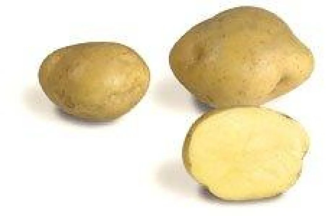kodintavaratalo202609130838171643732
