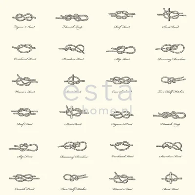 netrauta-1202609151748002118323