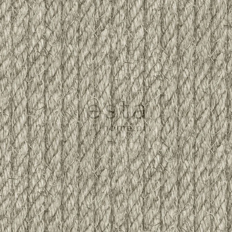 netrauta-1202609161206282188667