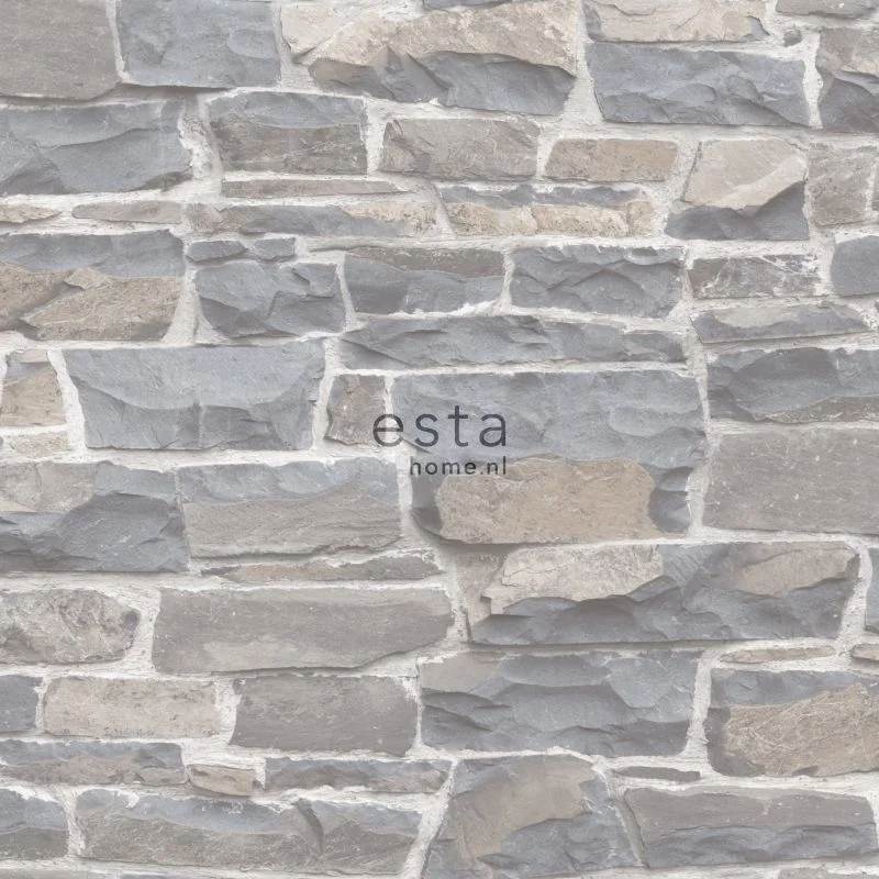 netrauta-1202609180208292455619