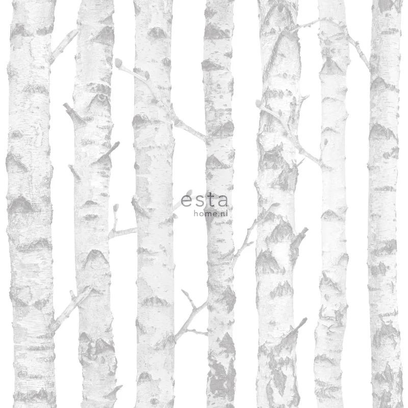 netrauta-1202609180337032468582