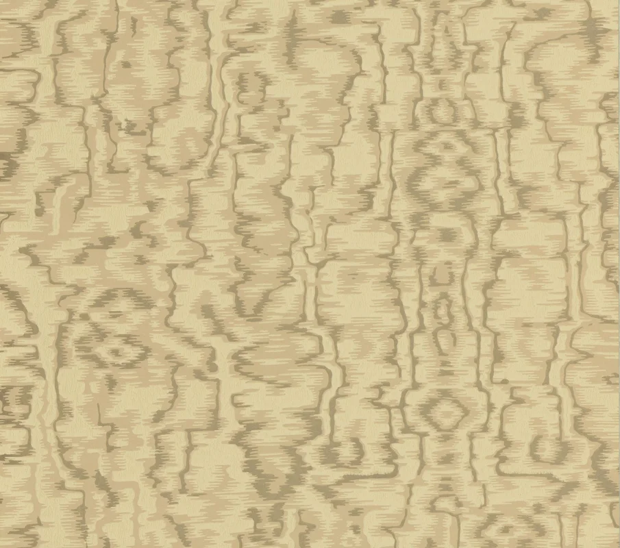 netrauta-1202609180538182486284