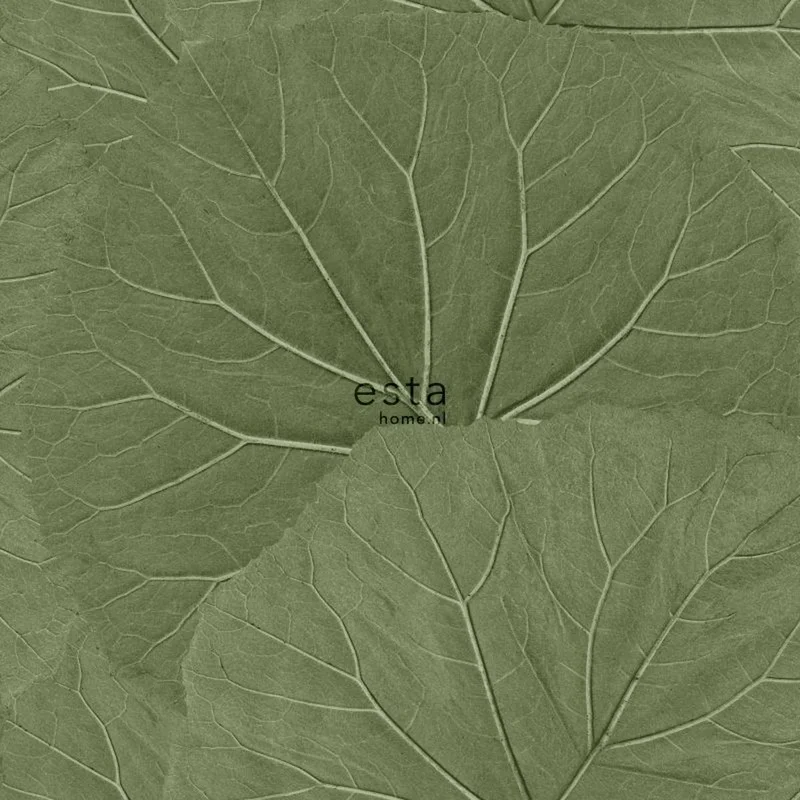 netrauta-1202609181834002588698