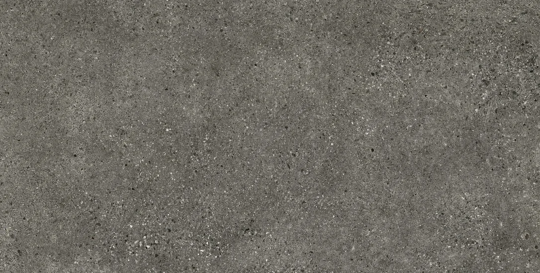 netrauta-1202609182254172626448