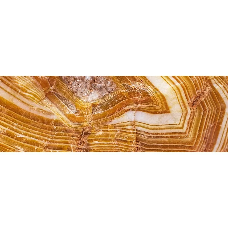 netrauta-1202609191914512799356