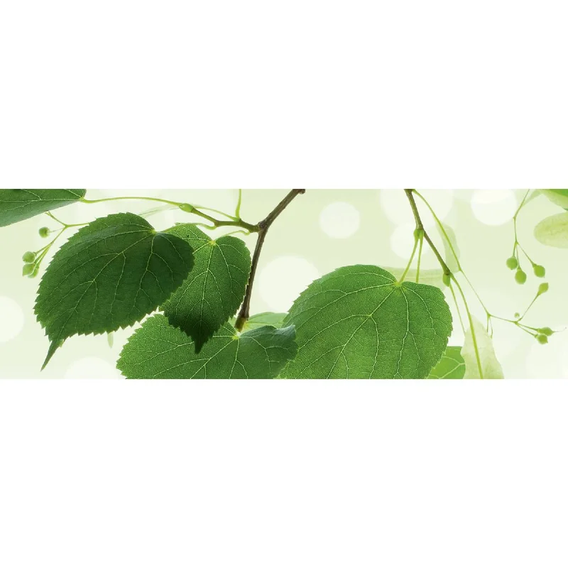 netrauta-1202609191928042802884