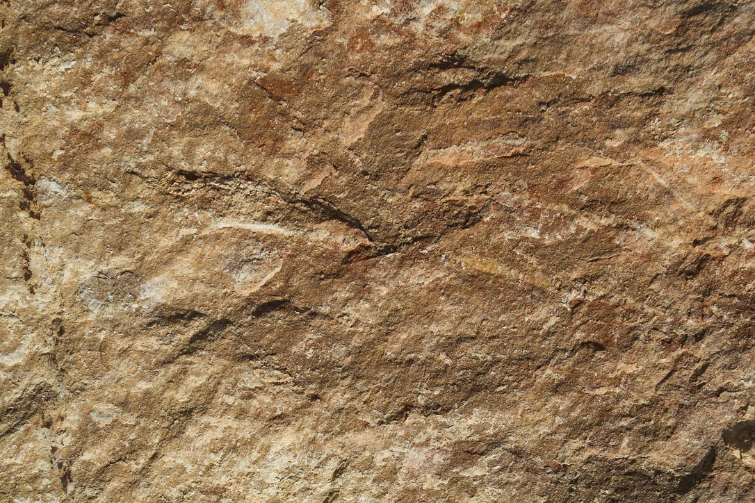 netrauta-1202609192043462822687