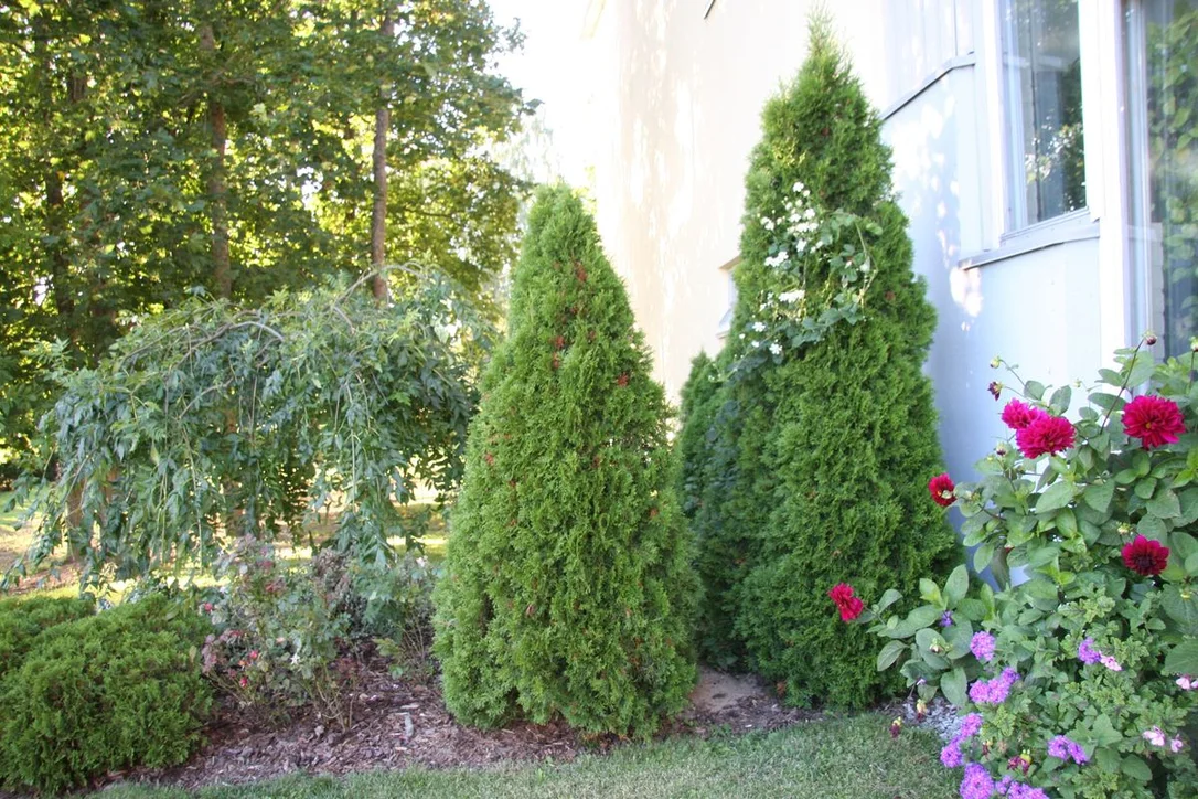 netrauta-1202609200649512924401