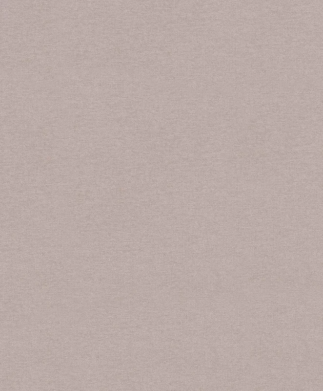 netrauta-1202609201544543000252