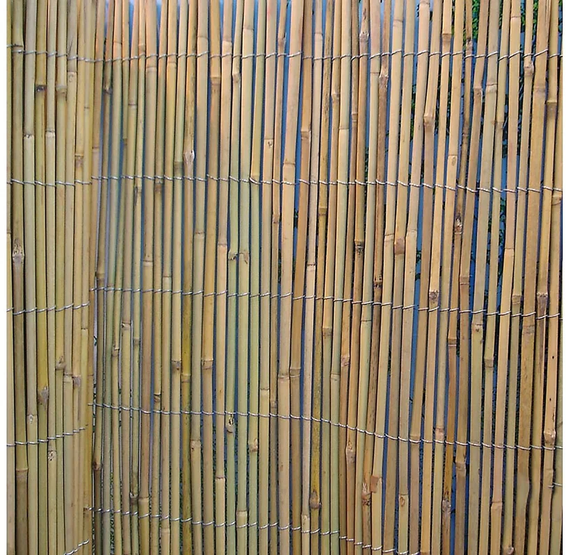 netrauta-2202609150049392024753