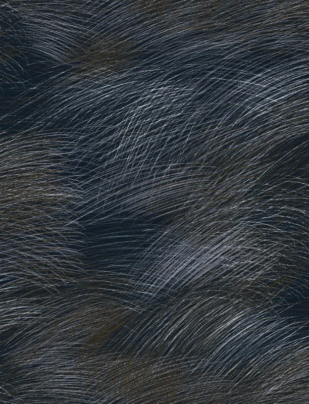 netrauta-2202609200408532904721