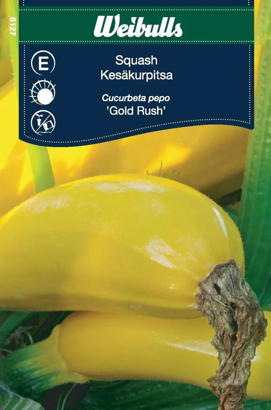 netrauta-3202609181635212566956