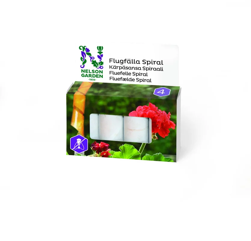 netrauta-3202609191832342789137
