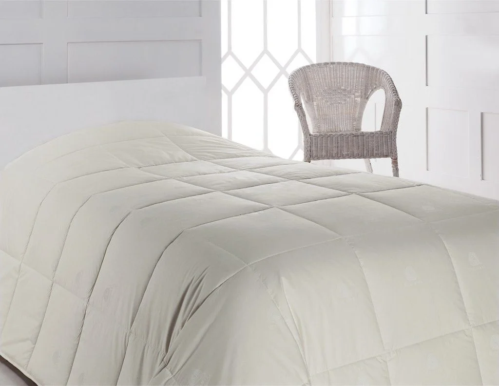 netrauta-3202609211504303150462