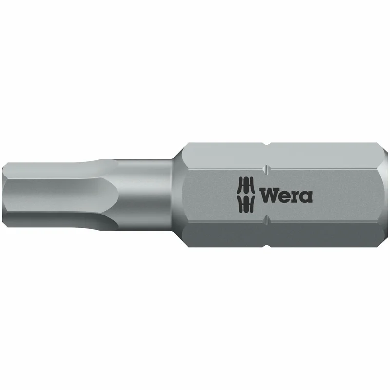 netrauta-4202609171005072329157