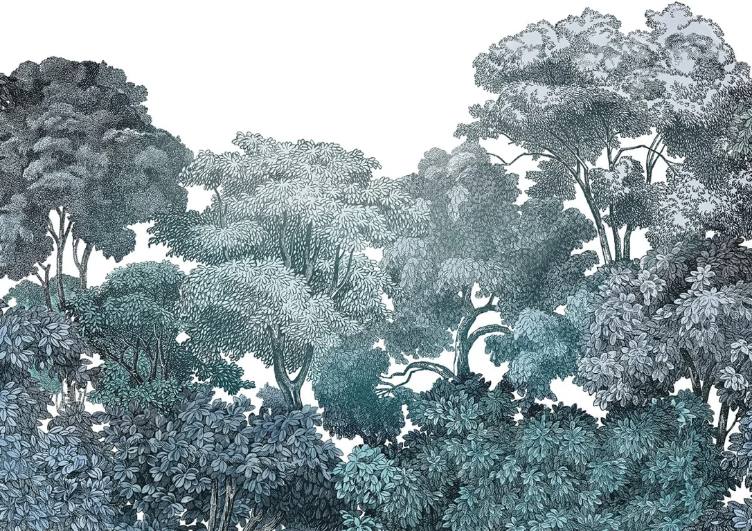 netrauta-4202609181414402551271